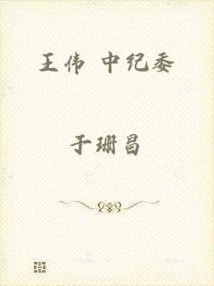 王伟 中纪委